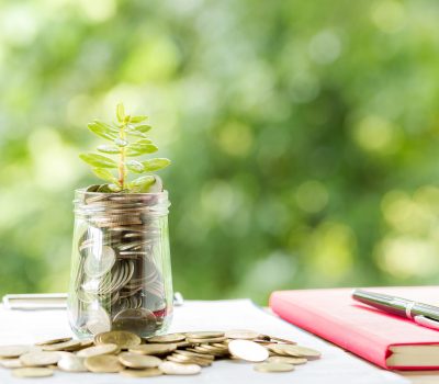 Plant Growing In Savings Coins Sprout growing on glass piggy bank